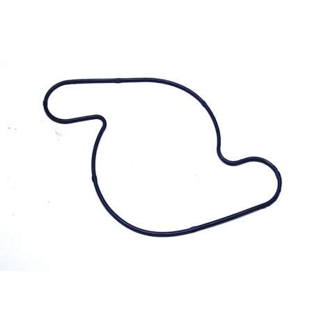 Těsnění vodní pumpy KTM LC8, 60035053000