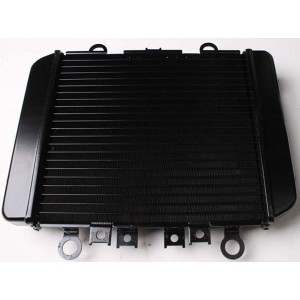 Chladič na motocykl ER-5 96-