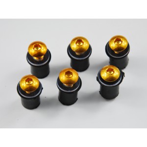 Šroubky pro plexi motocyklů-zlaté